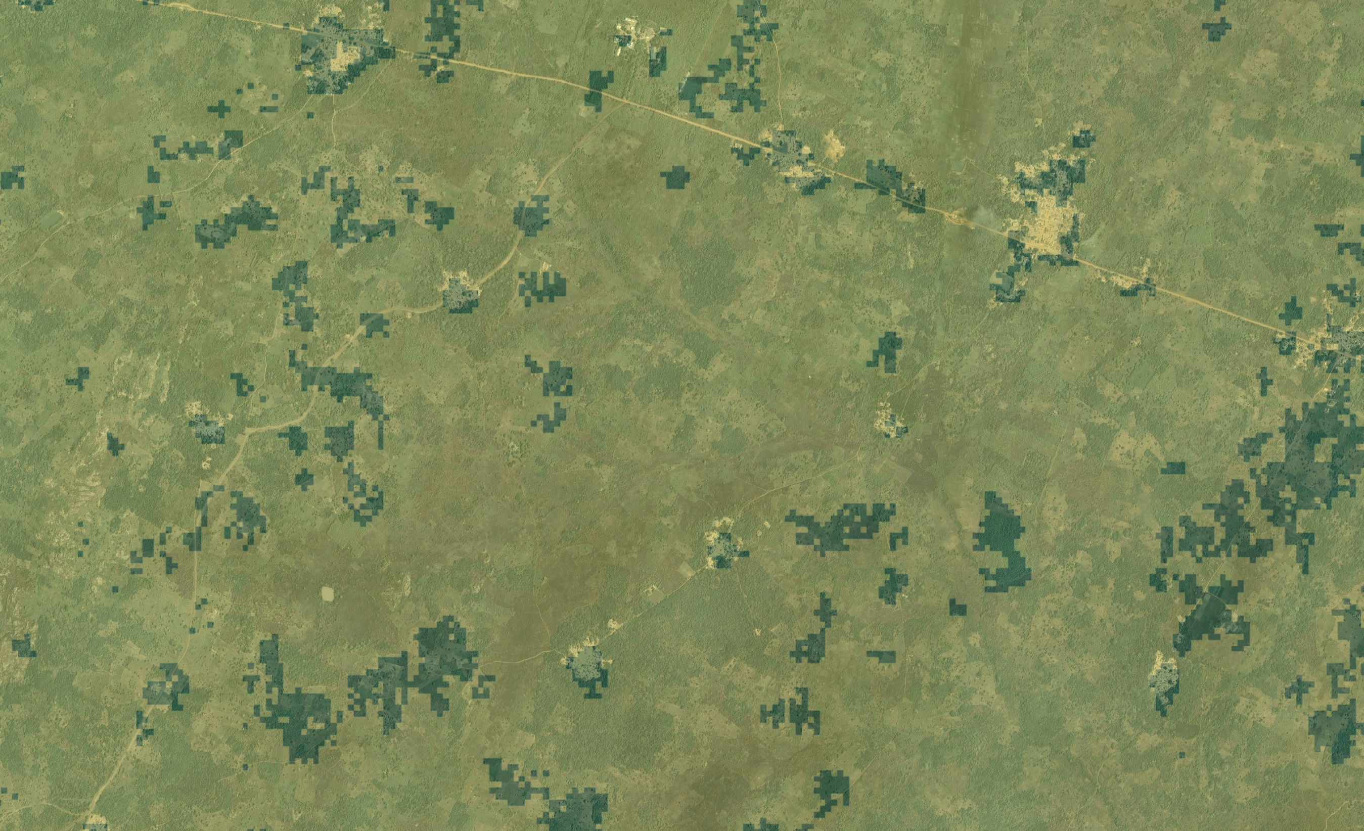 Togo Cropland Zoom GLAD 