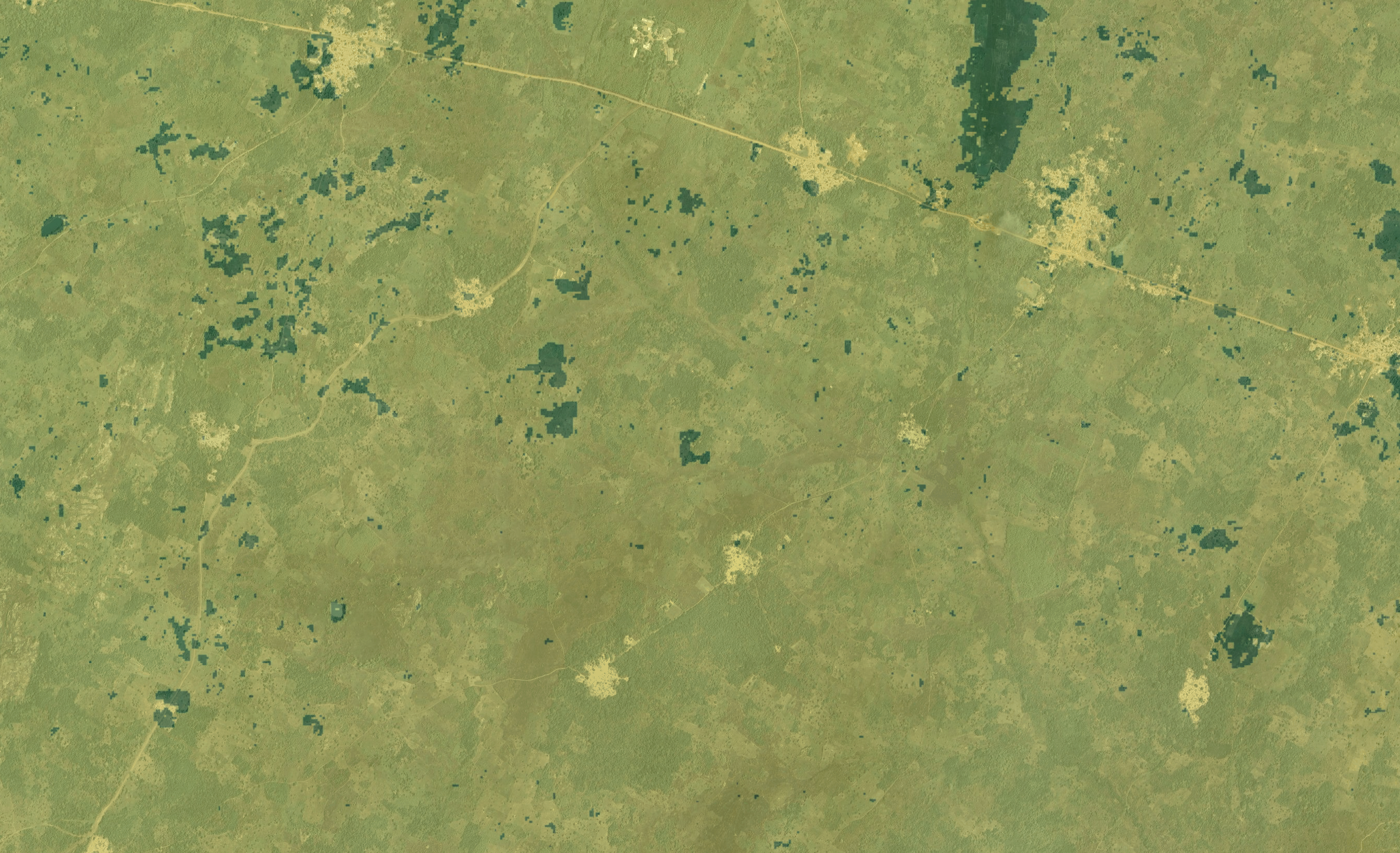 Togo Cropland Zoom WorldCover
